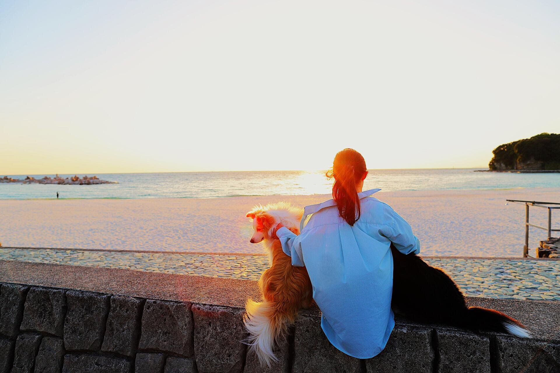 【自然が織りなす美と食を愛犬と一緒に堪能】2024年8月1日和歌山・南紀白浜にグランドオープン＜南紀白浜わんわんパラダイス＞