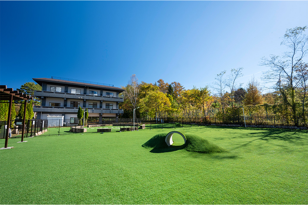 Wan's Resort 山中湖屋上にあるdog park。わんちゃん(ペット)がのびのび走り回れます。